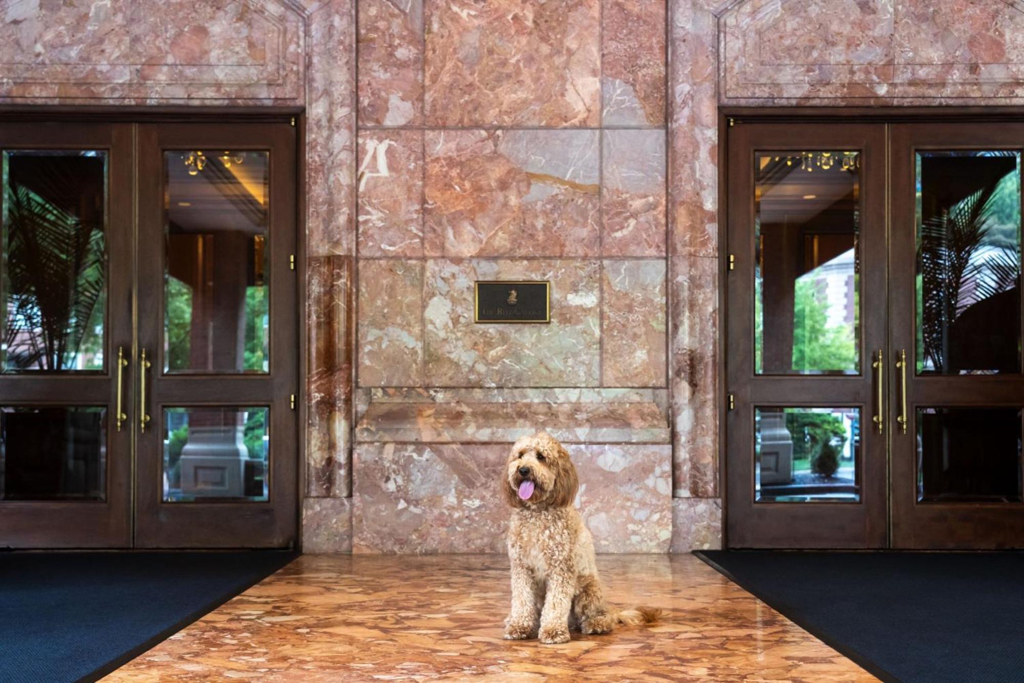 The Ritz-Carlton, St. Louis Clayton Exterior foto